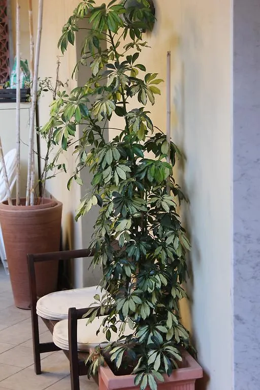 Les Agrumes Apartment Varigotti